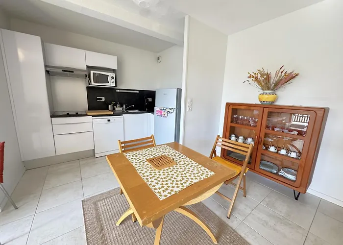 Apartment A Avec Terrasse, Proche Et Parking - Fr-1-474-268