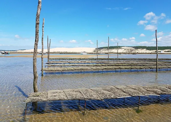 A Avec Terrasse, Proche Et Parking - Fr-1-474-268